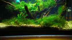 Becken mit dunkelblauem Hintergrund