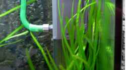 EHEIM 2252 Innenfilter mit Ausströmer und DroselVentil hinter Becken