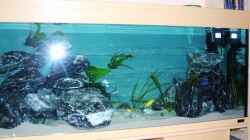 Aquarium Becken 11628
