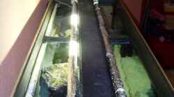 Technik im Aquarium Becken 11628