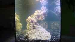 Aquarium Becken 11811