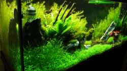 Aquarium Becken 12207