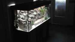 Aquarium Becken 12231