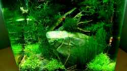 Aquarium Becken 12268