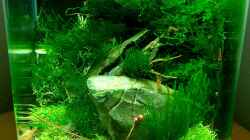 Aquarium Becken 12268