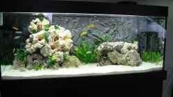 Aquarium Becken 12713