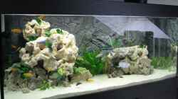 Aquarium Becken 12713