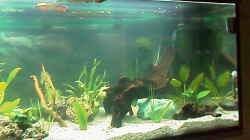 Becken Rechte Seite 16.3.09