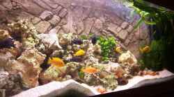 Aquarium Becken 13030