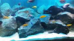 Aquarium Becken 13044