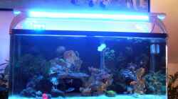 Aquarium Becken 13332