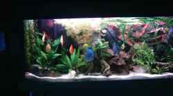 Aquarium Becken 13511