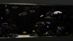 Neue Bilder Feb.2010