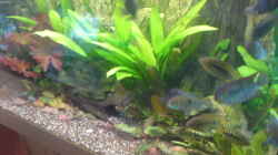 Technik im Aquarium Becken 13725