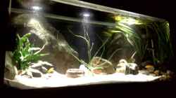 Aquarium Channel II