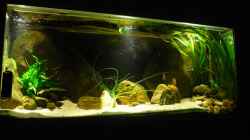 Aquarium Channel II