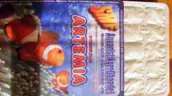 Besatz im Aquarium Wasserfall-Biotop(nur noch als Beispiel)