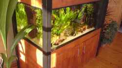 Aquarium Becken 14259