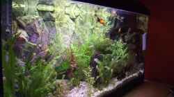 Aquarium Becken 14997