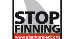 http://www.stopsharkfinning.net/