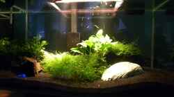 Aquarium Fluval Edge
