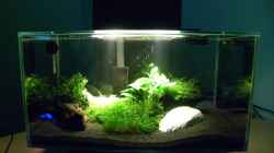 Fluval Edge