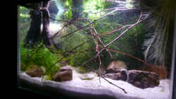 Aquarium RF