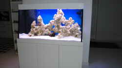Aquarium Becken 16352