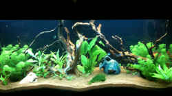 Stand 28-02-10