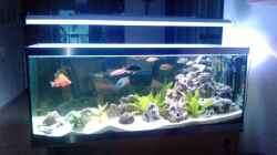 Aquarium Becken 16502