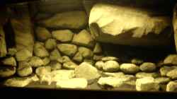Dekoration im Aquarium dark dream