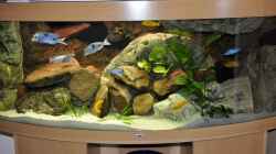 Dekoration im Aquarium Becken 16908