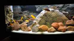 Aquarium Becken 16908