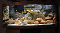 Aquarium Becken 16908