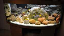 Aquarium Becken 16908