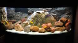 Aquarium Becken 16908
