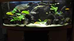 Aquarium Becken 16908