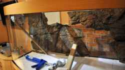 Dekoration im Aquarium Becken 16908