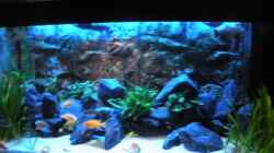 Aquarium Peter´s bunte Kiste