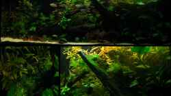 Dekoration im Aquarium My little African Dream Nur noch als Beispiel