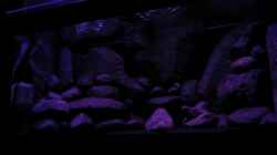 Dekoration im Aquarium BLACK ROCK