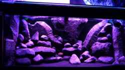 Dekoration im Aquarium BLACK ROCK