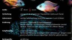 Besatz im Aquarium Maleri Islands