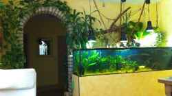 Aquarium Becken 17461