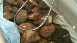 200-250kg Gestein beim Waschen