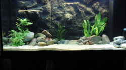 Aquarium Becken 17837