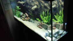Aquarium Becken 17837