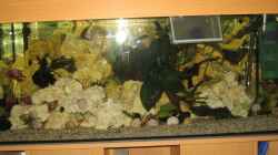 Aquarium Malawi 200 Liter