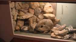 Aquarium Becken 18085