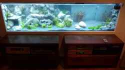 Aquarium Becken 18085
